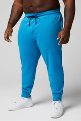 the year round terry jogger