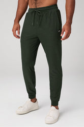 the cloud jersey jogger