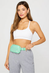 the belt bag mini