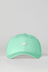 the fundamental dad hat