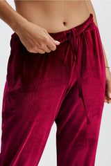 luxe velour jogger